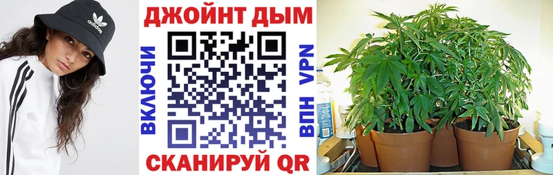 кракен сайт Игра Шишки марихуана ГИДРОПОН
